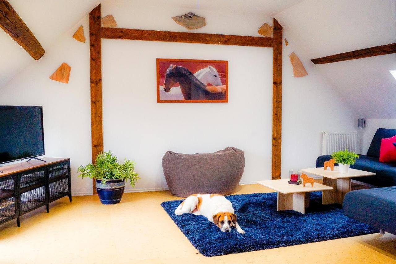 Besondere Ferienwohnung Spirit Auf Idyllischem Reiterhof Nahe Burg Eltz Münstermaifeld Exterior foto